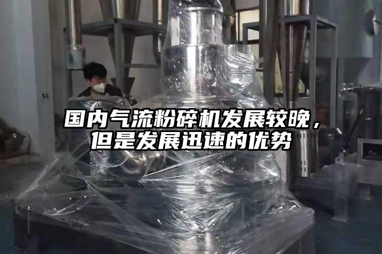 国内91香蕉视频黄色软件下载发展较晚，但是发展迅速的优势
