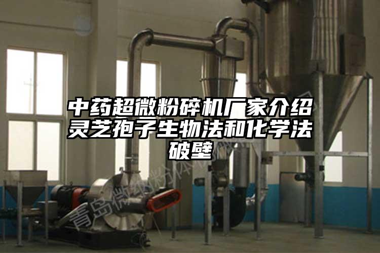 中药91香蕉视频污在线观看厂家介绍灵芝孢子生物法和化学法破壁