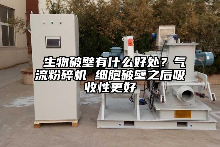  生物破壁有什么好处？91香蕉视频黄色软件下载 细胞破壁之后吸收性更好