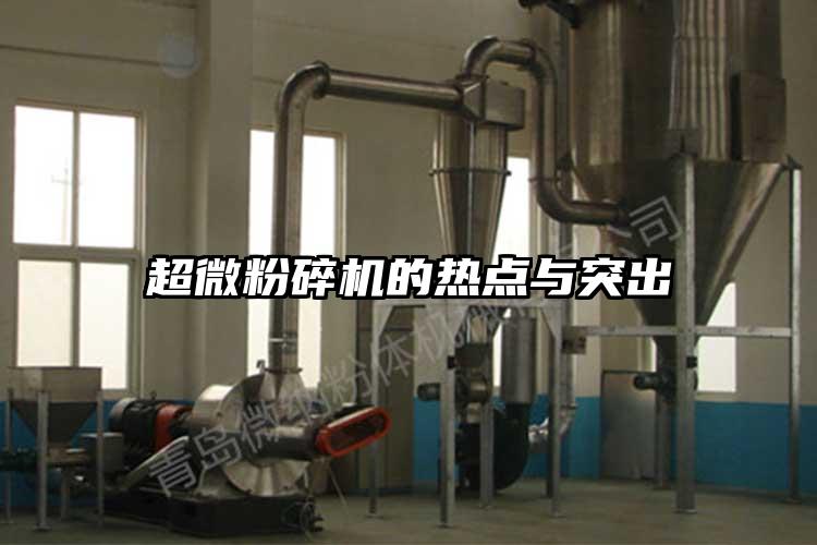 91香蕉视频污在线观看的热点与突出